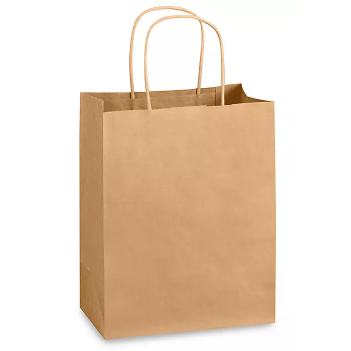 10.25*6.3*13 Small Shopping  Bag w/Twist Handle (250)