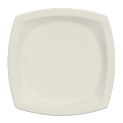 8PSC-2050 Bare 8.25 Square  plate - Ivory